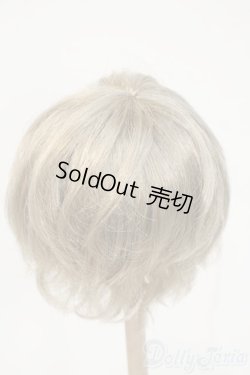 画像2: 8-9inch/ウィッグ Y-26-02-04-201-YD-ZY