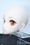 画像2: DD/DDH-09:ヘッド Y-25-09-17-043-YD-ZY (2)