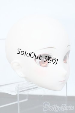 画像3: DD/DDH-09:ヘッド Y-25-09-17-043-YD-ZY
