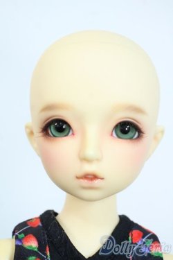 画像4: SDM女の子/まこ　スタンダードモデル Y-25-10-01-121-YD-ZY