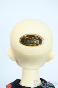画像5: SDM女の子/まこ　スタンダードモデル Y-25-10-01-121-YD-ZY