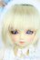 画像1: SDM/のあ:スタンダードモデル Y-25-10-01-120-YD-ZY (1)