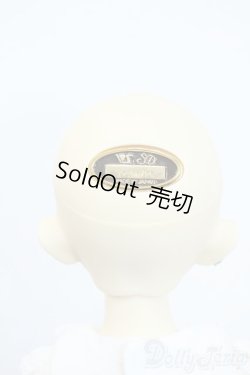 画像7: SDM/のあ:スタンダードモデル Y-25-10-01-120-YD-ZY