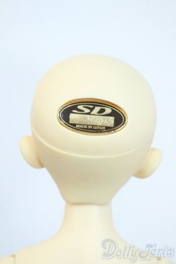 画像5: SDMGIRL/リズ Y-25-10-01-114-YD-ZY