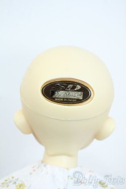 画像7: SDM女の子/クロエ Y-25-10-01-115-YD-ZY