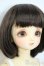 画像2: SDM/モモ：スタンダードモデル Y-25-10-01-117-YD-ZY (2)