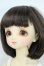 画像3: SDM/モモ：スタンダードモデル Y-25-10-01-117-YD-ZY
