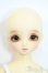 画像4: SDM/モモ：スタンダードモデル Y-25-10-01-117-YD-ZY