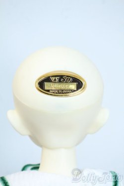 画像5: SDM/F-42コーディネートモデル Y-25-10-01-199-YD-ZY