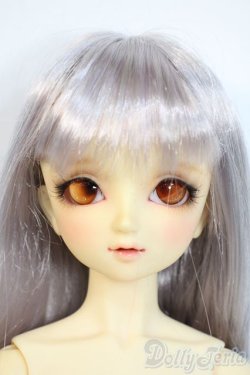 画像1: SDC/may Y-25-10-01-003-YD-ZY