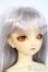 画像2: SDC/may Y-25-10-01-003-YD-ZY (2)
