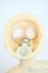 画像6: SDC/may Y-25-10-01-003-YD-ZY