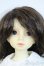 画像1: MSD/F-20ヘッド：フルチョイス Y-25-10-01-108-YD-ZY (1)