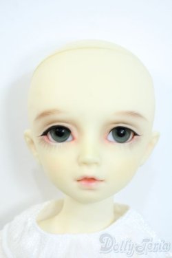 画像4: MSD/F-20ヘッド：フルチョイス Y-25-10-01-108-YD-ZY