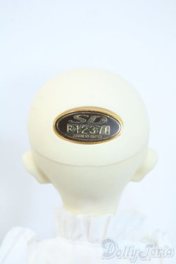 画像5: SDMGIRL/フルチョイス：F-35 Y-25-10-01-105-YD-ZY