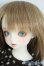 画像3: SDM女の子/コーディネートモデル:F-56 Y-25-10-01-198-YD-ZY