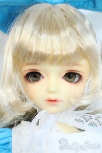 SDM/トッピ Y-25-10-01-116-YD-ZY