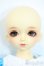 画像6: SDM/トッピ Y-25-10-01-116-YD-ZY