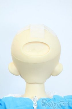 画像7: SDM/トッピ Y-25-10-01-116-YD-ZY