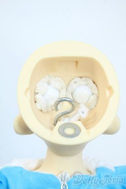 画像8: SDM/トッピ Y-25-10-01-116-YD-ZY