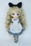 画像4: Harmonia bloom/ALICE A アリス A Y-25-09-17-176-KD-ZY