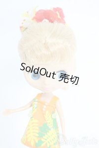 プチブライス/本体＆OFセット Y-25-09-24-030-YD-ZY