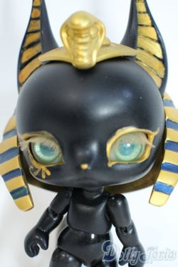 画像1: BLACK BOX/Anubis Y-25-09-24-256-YD-ZY