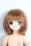 画像1: azone/MAYA(マヤ)/M’sベーカリーへようこそ(通常販売ver.) Y-25-09-24-062-YD-ZY (1)