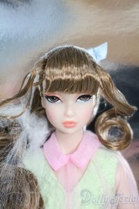 FR NIPPON /MISAKI プリムローズ Y-25-10-01-049-YD-ZY