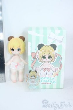 画像4: PUYOO DOLL/POCKET KUMAKO Y-25-10-01-124-YD-ZY