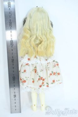 画像5: Gem of Doll/Shinsa Y-25-10-01-190-YD-ZY