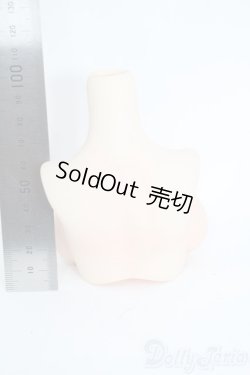 画像2: angelphilia/外皮ボディパーツ　上胴　Type-C3 Y-25-10-08-021-TN-ZY