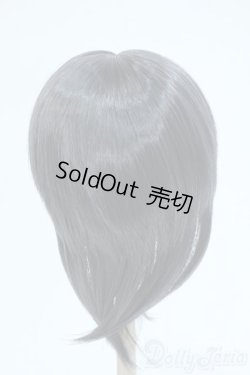 画像2: 8-9inch/ウィッグ Y-25-10-08-116-YD-ZY