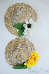 SD/OF:小物 Y-25-10-15-027-YD-ZY