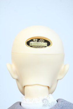 画像6: SDB/ミシェル 星間学寮Ver. ドルパ47 Y-25-10-08-189-YD-ZY