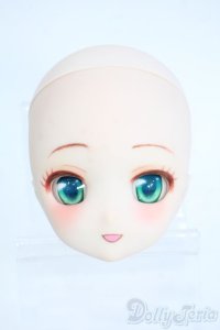 DD/DDH-27カスタムヘッド Y-25-10-08-194-YD-ZY