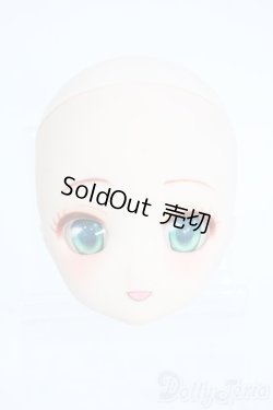 画像1: DD/DDH-27カスタムヘッド Y-25-10-08-194-YD-ZY