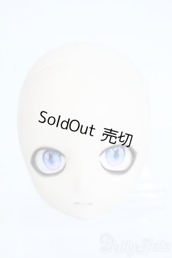 画像1: DD/DDH-28　カスタムヘッド Y-25-10-08-195-YD-ZY