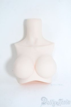 画像1: MDD/上半身パーツ Y-25-10-15-041-YD-ZY