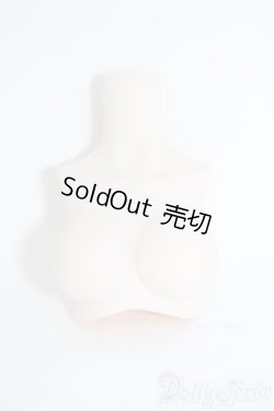 画像1: MDD/上半身パーツ Y-25-10-15-041-YD-ZY