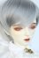 画像2: LUTS/Senior65 Delf Boy Body Y-25-10-15-052-YD-ZY (2)