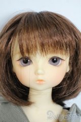 幼SD/翔 SDオーナーズ感謝祭・夢のテーマパークホテルin東京2009 Y-25-10-15-059-YD-ZY