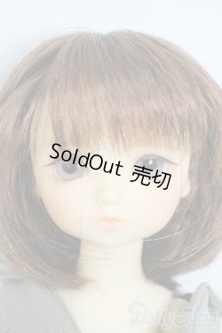 画像1: 幼SD/翔 SDオーナーズ感謝祭・夢のテーマパークホテルin東京2009 Y-25-10-15-059-YD-ZY