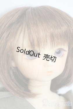 画像2: 幼SD/翔 SDオーナーズ感謝祭・夢のテーマパークホテルin東京2009 Y-25-10-15-059-YD-ZY