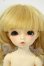 画像1: 幼SD/まこ Y-26-07-07-004-YD-ZY (1)