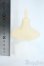 画像2: MDD/OF:小物 Y-25-10-22-171-YD-ZY (2)