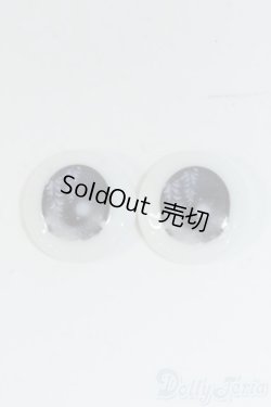 画像1: 18ｍｍ/アニメアイ Y-25-10-22-160-YD-ZY