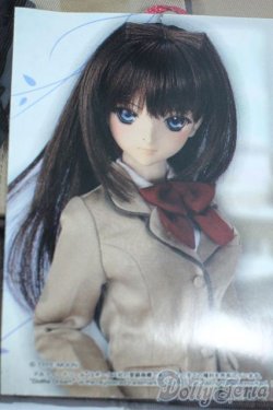 画像1: DD/OF：三咲高校制服セット 「魔法使いの夜」 Y-25-11-05-040-TN-ZY