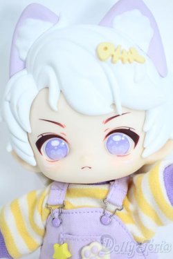 画像1: HANI(ハニー)：甘い夢境 豆丁猫 Y-25-11-19-111-YD-ZY