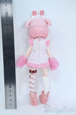 画像3: 自由主張スタジオ/デジタルペットの仮想世界 ウサギ Y-25-11-19-120-YD-ZY